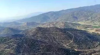 Aydın'da Tarım Arazisinde Başlayan Yangın Kontrol Altına Alındı