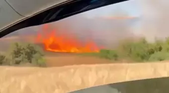 Çanakkale Biga'da Tarım Arazisinde Yangın