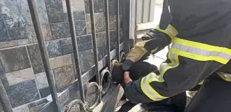 Bahçe Kapısına Sıkışan Köpek İtfaiye Ekipleri Tarafından Kurtarıldı